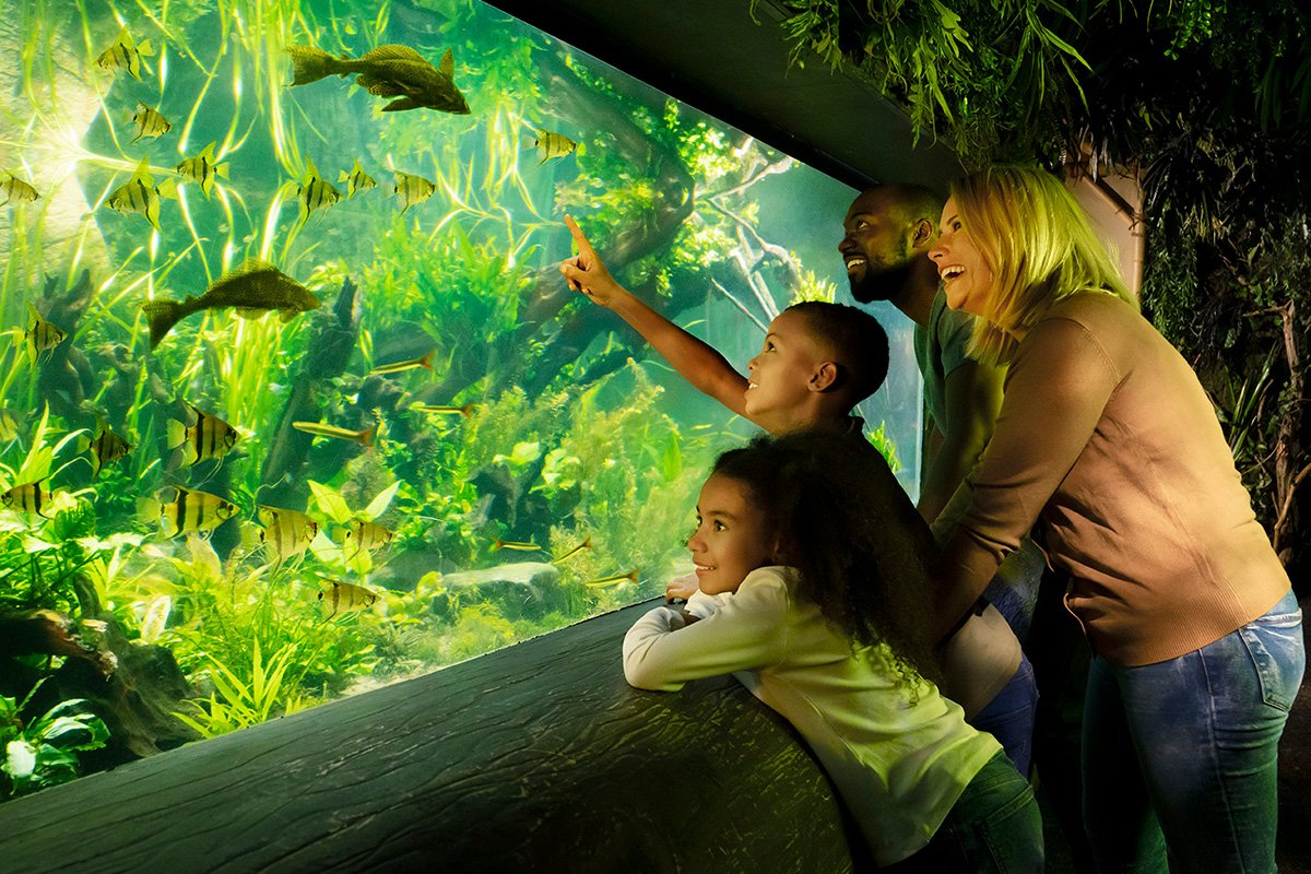 SEA LIFE Londen aquarium