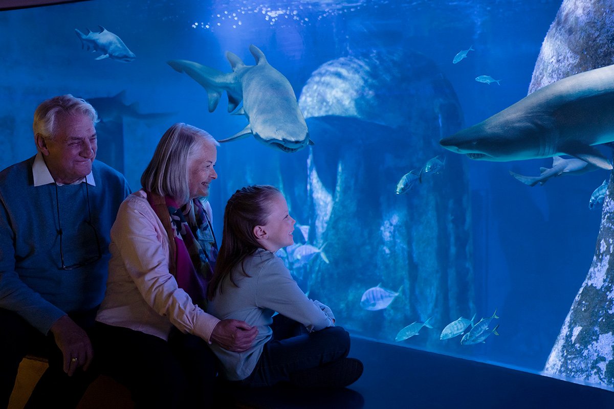 SEA LIFE Londen aquarium